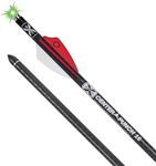 TenPoint 16-Inch EVO-X Alpha-Blaze Lighted Carbon Crossbow Arrows (3-Pack)