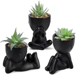 Der Rose 3pcs Fake Succulents Plant