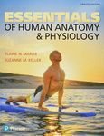 Essentials of Human Anatomy & Physiology