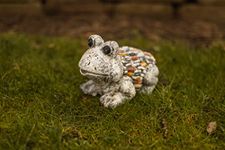 Garden Mile Novelty - Garden Ornaments Outdoor Animal Stone Effect Statue with Grass, Free Standing Animal Figurine Garden Statue and Sculpture for Outdoor, Indoor, Garden, Patio, Lawn, Decor (FROG)