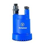 Westinghouse 1/4 HP Submersible Sum