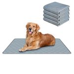 RIOUSSI Washable Pee Pads for Dogs, Reusable, Absorbent, Leakproof, Non Slip Pet Puppy Pads for Potty Training. Light Gray, 24x36 Inch(4pack)