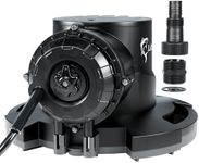 LANCHEZ 1/2 HP Automatic Swimming P