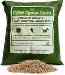 GBW Grass Seed 1kg - Covers up to 6