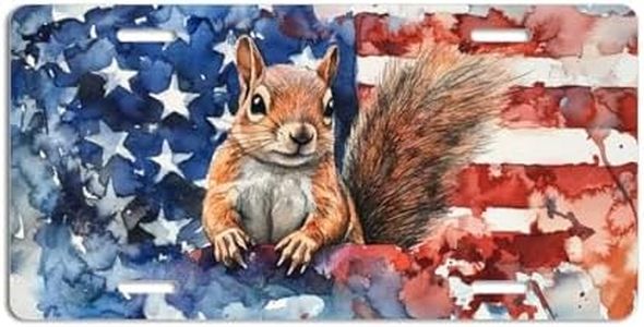 NGZ Squirrel License Plate, Funny Pet American Flag Painting Aluminum License Plate Suitable for Car, RVs, Bars, Fences, garages, etc. 12x6 Inch