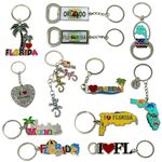 TSY TOOL 12 Pack of Florida State Keychain Metal Ring, Includes Palm Tree, Gecko, Dolphin, Orlando License Plate, 4 Bottle Openers, Miami Souvenirs bulk Collection Bundle, Multi, Regular Size