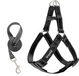 Dog Halter Harnesses