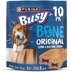 Purina Bus