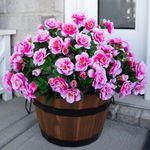 Ivydale Artificial Fake Outdoor Flowers Plants for Spring Decoration, Faux Silk Pink Camellia 3 Bundles UV Resistant Realistic for Planter Pot Outside Porch Patio Balcony Garden Yard Home Decor