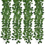 Kalolary 258FT 36 Stands Artificial Ivy Garland Scindapsus Leaf Vines Plants Fake Plants Greenery Hanging Garland for Wedding Backdrop Arch Wall Jungle Party Table Office Wall Decoration