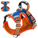 Eyein Dog Harness Small, Air Mesh Breathable Adjustable Reflective Vest, No Pull Escape Proof Sports Puppy Harness with Lockable Buckle & Padded Soft Handle for Training or Walking (Orange,XS)