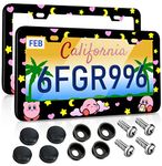 Akkya License Plate Frames 2 Pack for Women Car Plate Holder Cover Cute Cartoon Pink Metal Tag Frame Stainless Steel Car Front Rear Plate Decor