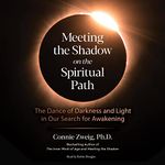 Meeting the Shadow on the Spiritual Path: The Dance of Darkness and Light in Our Search for Awakening