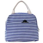 EurCross Blue White Stripes Lunch Bag for Adult Women girls,Canvas Medium Insulated Cool Lunch Tote Box Bag for Work for School