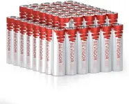 BEVIGOR Lithium Batteries AA Size, 