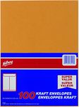 Hilroy 76146 Kraft Envelopes, 9x12-Inch, 100-Count