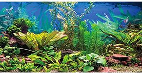 Background For Aquarium