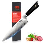 SHAN ZU Damascus Chef Knife 8inch Japanese Steel Kitchen Knife, Professional Kitchen Utility Knives High Carbon Super Sharp, 67-Layer Damascus Steel Cooking Knife with G10 Handle/Gift Box