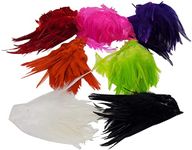 Creative Angler Saddle Hackle Fly Tying Materials - Natural Feathers for Wet Flies, Rooster Feathers, Hair Feathers for Crafts, Fly Tying Kit - Small Feathers Combo Pack of Steelhead Colored Feathers