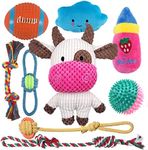 Dog Chew Toys for Puppy Teething Tr