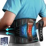 Bracepost Back Brace for Lower Back Pain,2 Reusable Ice Pack for Injuries Lumbar Support Belt for Men Women,Bionic Spine Design Back Brace with Cold Pad for Sciatica Herniated Disc,L