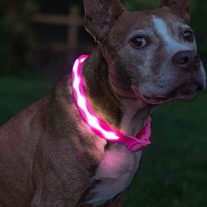 Blazin' Safety Led Dog Collar USB Rechargeable with Water Resistant Flashing Light, Large, Pink