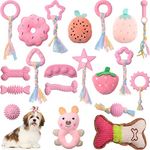 Outus 20 Pcs Puppy Toys for Teething Chew Toys for Small Dogs Cute Pink Soft Squeaky Puppy Teething Toys Rubber Outdoor Interactive Dog Toys for Puppies Small Breed Cleaning Doggy Teeth