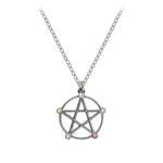 Alchemy Gothic Wiccan Elemental Pentacle Pendant - Pewter 53cm Trace Chain Necklace Pentagram