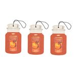 Yankee Candle Spiced Pumpkin Car Jar 3PACK (3PACK)