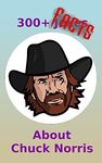 300+ Facts About Chuck Norris