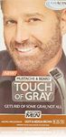 Just for Men Touch of Gray Hair Col