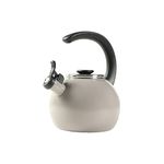 Circulon 48169 Whistling Teakettle/Teapot with Flip-Up Spout, Enamel on Steel, Gray