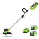Greenworks Tools Cordless Grass Trimmer G40LT (Li-Ion 40 V 30 cm Cutting Width 7000 RPM Rotating and Tilting Motor Head) & G40B2 40 V Lithium-ion 2Ah Battery & G40C Charger