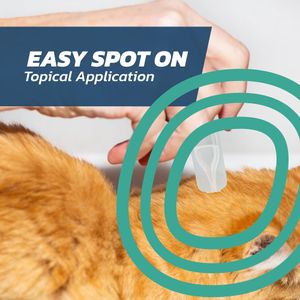 FleaSolve Cat Flea Treatment, 6-Pack – Fast-Acting Flea Control