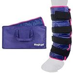 Horse Ice Pack with Carry Case - Co