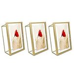 Navaris Floating Photo Frames Set (3) - Fits 6x4 and 7x5 inch Photos - Glass and Metal Standing Wire Rectangular Cube Picture Frame - Size M, Gold