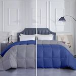 MammaYo Razzai Down Alternative Soft Quilted 300 GSM All Weather Comforter (92" x 106" Inches/233cm x 269cm) - King Size Comforters|Silver/Medium Blue| TC - 400