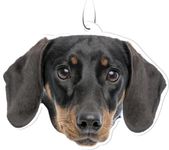 Spoontiques Dachshund Air Freshener