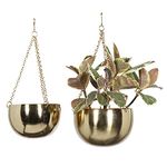 Deco 79 Metal Indoor Outdoor Wall Planter Indoor Outdoor Hanging Dome Hanging Planter with Chain, Set of 2 Plant Hanger 5", 6"H, Gold