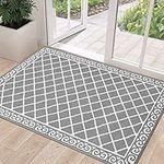 HEBE Indoor Doormat Front Door Rug 32"x48" Low Profile Inside Door Mat for Entryway Absorbent Welcome Doormats Non Slip Entrance Rug Floor Mat for Entry Kitchen Back Door Washable