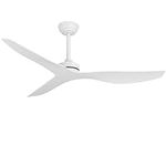 raccroc Ceiling Fan No Light with R