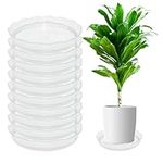 Clear Plastic Plant Saucer Drip Tra