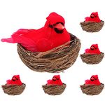 Artibetter 6pcs Christmas Cardinals in Nests Realistic Artificial Cardinal Christmas Birds Desktop Ornaments Table Centerpiece Sign Christmas Tree Decorations Wreaths Garland Filler DIY Craft