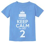 2nd Birthday Cake I Can't Keep Calm I'm Two Boy Girl Funny Kids T Shirt 4T