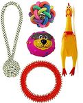 RvPaws Squeaky, Chew Teether Toys for Dog/Puppy - Spiked Ring + Rope Handle Ball + Face Squeaky Ball + Squeaky Hen Big + Rainbow Ball (S) - Combo of 5