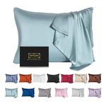 Mulberry Silk Pillowcase for Hair and Skin,Cooling Silk Pillow Case with Hidden Zipper,Allergen Proof Dual Sides Soft Breathable Smooth Silk Pillow Cover for Women. (Aqua Blue, Standard(20"x26"))