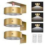 EUIOKUN 3Pack Wireless Picture Light,Battery Operated Painting Light with Remote,Magnetic Timer Display Art Light for Wall,Dimmable Picture Frame Light for Frame Artwork,Wall Decor Puck Light-Gold