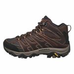 Merrell Men's Moab 3 Thermo Mid Wp Winter Hiking Boot, Earth, 10 W US