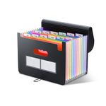 ThinkTex Accordion‌ File Organiser, 12 Pockets Expanding File Folders, Portable Monthly Bill Receipt Organiser, Colorful Tabs, Letter/A4 Size