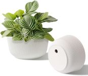 T4U Plant Pots 8 Inch, 2 Pack Self 